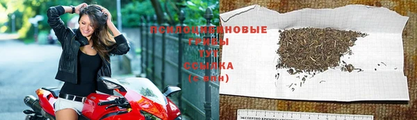 кокс Алексеевка