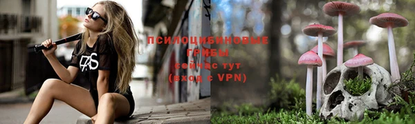 марки nbome Абаза