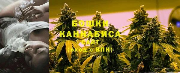 гидра Новокубанск
